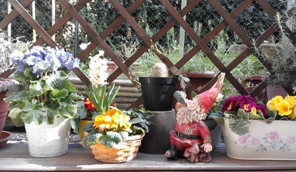 La Tana Del Nano Daire Ancona Dış mekan fotoğraf